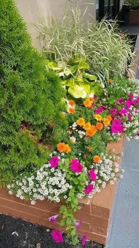 Hotel Garden Finger Lakes 3*